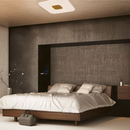 Philips 61086/31/P5 - LED Plafon ściemnalny HARAZ LED/75W/230V