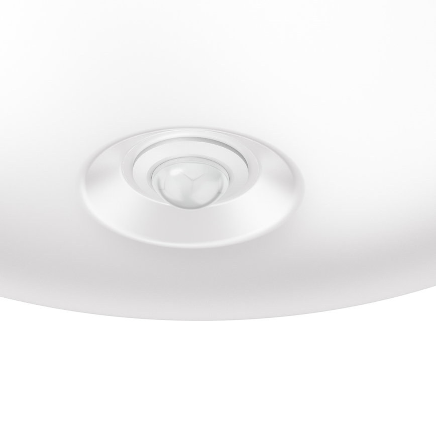 Philips 50300/17/E7 - Reflektor ESSENTIALS LIMBALI 1xGU10/50W/230V
