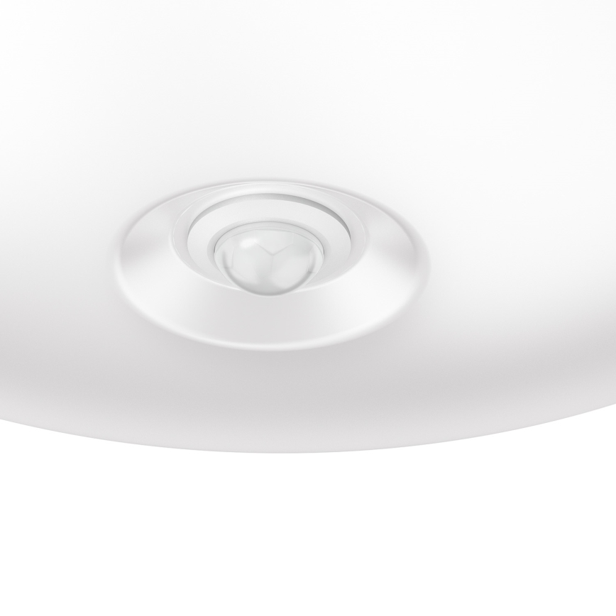 Philips 50300/17/E7 - Reflektor ESSENTIALS LIMBALI 1xGU10/50W/230V
