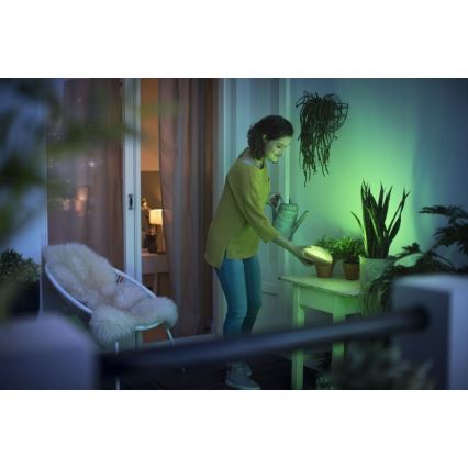 Philips 70104/31/P0 - LED RGB Ściemnialna lampa przenośna CAMELLIA LED/3W/5V