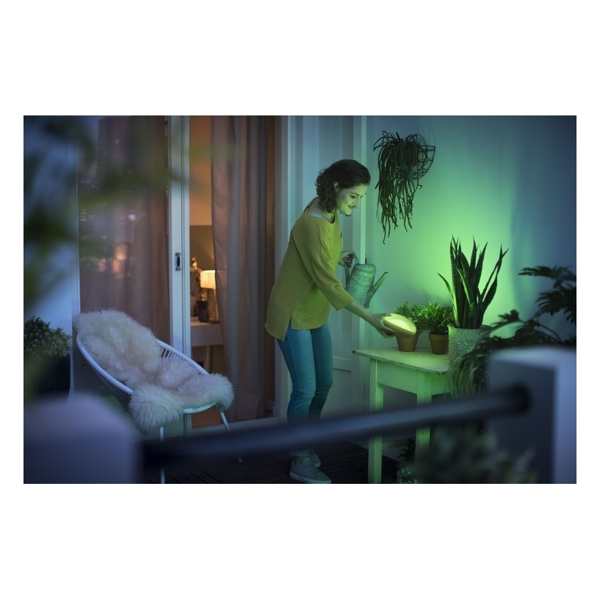 Philips 70104/31/P0 - LED RGB Ściemnialna lampa przenośna CAMELLIA LED/3W/5V
