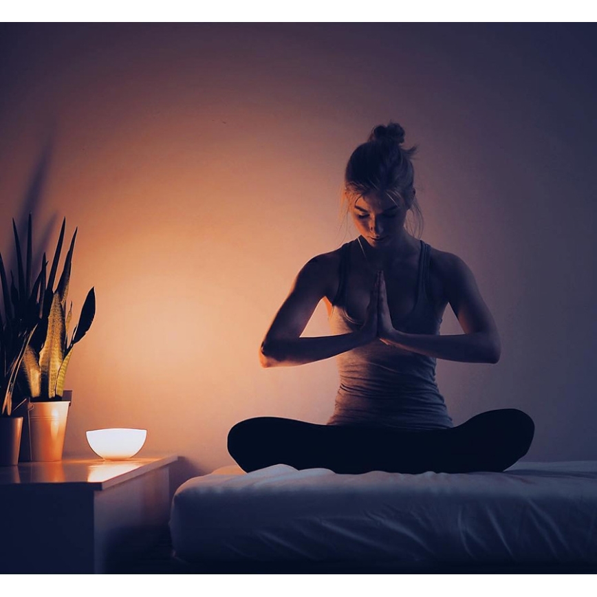 Philips 71460/60/PH - Ściemnialna lampa stołowa HUE GO 1xLED/6W/RGB