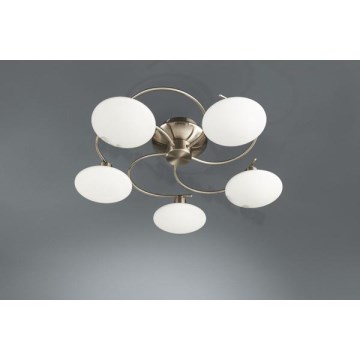 Philips Eseo 37071/17/13 - żyrandol natynkowy MAXIMUS 5xG9/40W