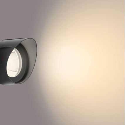 Philips - LED zewnętrzna lampa punktowa LED/6W/12V 2700K IP44