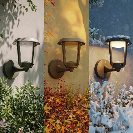 Philips - Kinkiet zewnętrzny NUVY LED/4,3W/230V 2700K IP44