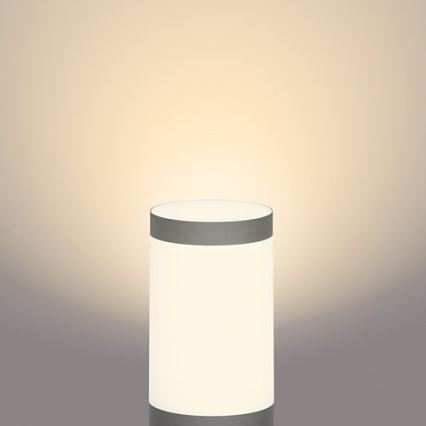 Philips - Lampa zewnętrzna LED GARDENLINK LED/24W/230V 2700K IP44