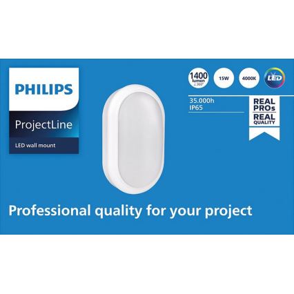 Philips - LED Kinkiet PROJECTLINE LED/15W/230V IP65