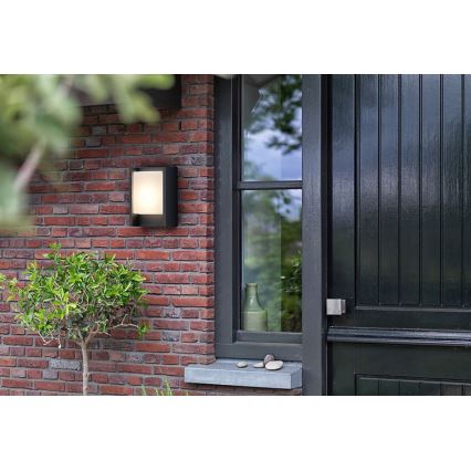 Philips - LED Kinkiet zewnętrzny ARBOUR LED/3,8W/230V 2700K IP44