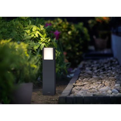 Philips - LED Lampa zewnętrzna ARBOUR LED/3,8W/230V 40 cm 2700K IP44