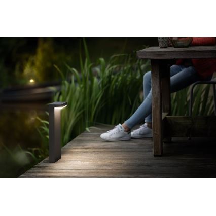 Philips - LED Lampa zewnętrzna BUSTAN LED/3,8W/230V 2700K 40 cm IP44