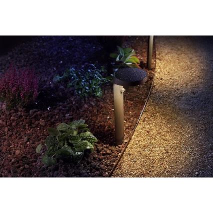 Philips - LED Lampa zewnętrzna z czujnikiem LED/9W/230V 2700K IP44