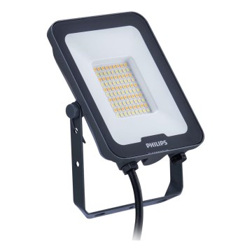 Philips - LED Naświetlacz LEDINAIRE ALL-IN LED/50W/230V 3000/4000/6500K IP65 antracyt