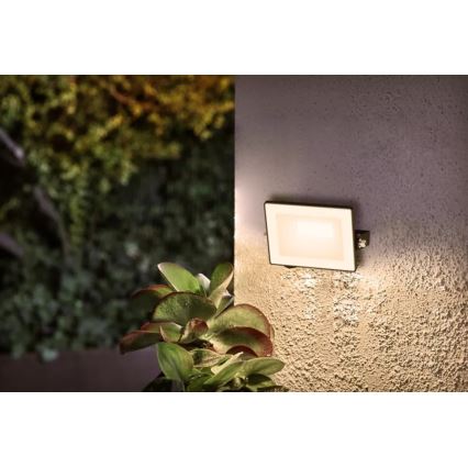 Philips - LED Naświetlacz LOIS LED/10W/230V IP65 3000K