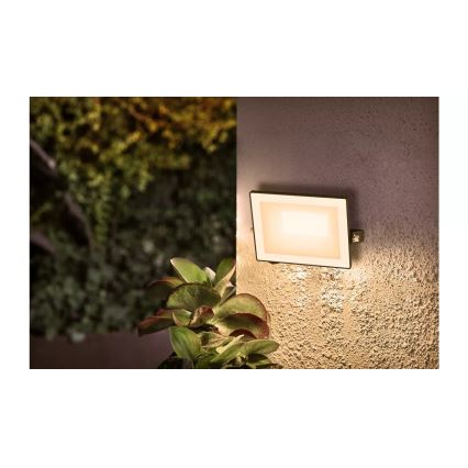 Philips - LED Naświetlacz LOIS LED/20W/230V IP65 3000K