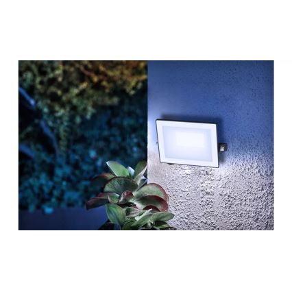 Philips - LED Naświetlacz LOIS LED/20W/230V IP65 5000K