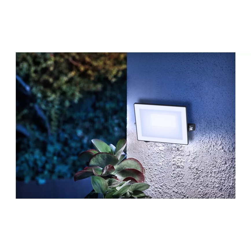 Philips - LED Naświetlacz LOIS LED/20W/230V IP65 5000K