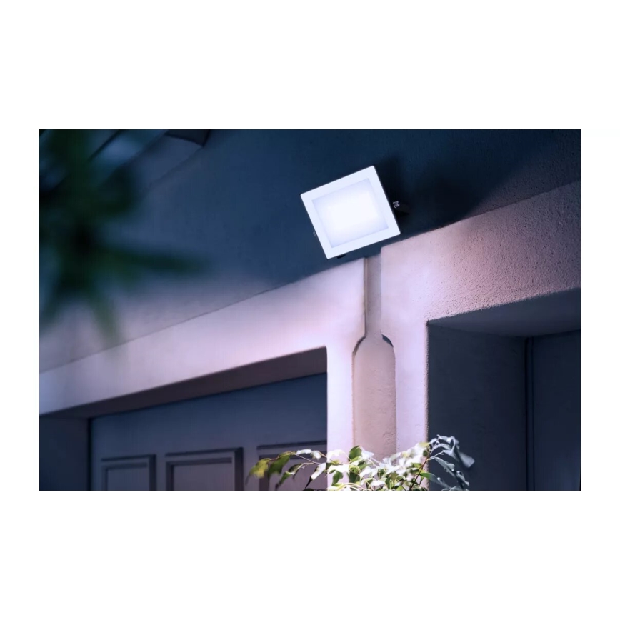 Philips - LED Naświetlacz LOIS LED/30W/230V IP65 5000K