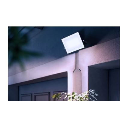 Philips - LED Naświetlacz LOIS LED/50W/230V IP65 5000K
