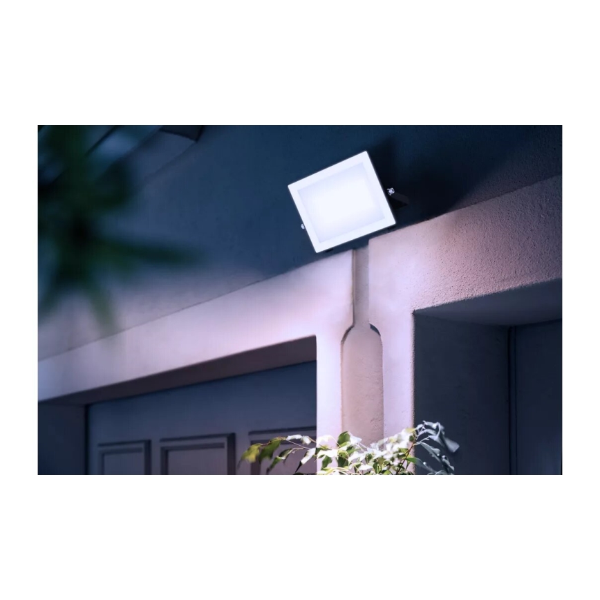 Philips - LED Naświetlacz LOIS LED/50W/230V IP65 5000K
