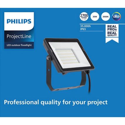 Philips - LED Naświetlacz zewnętrzny PROJECTLINE LED/30W/230V IP65 3000K