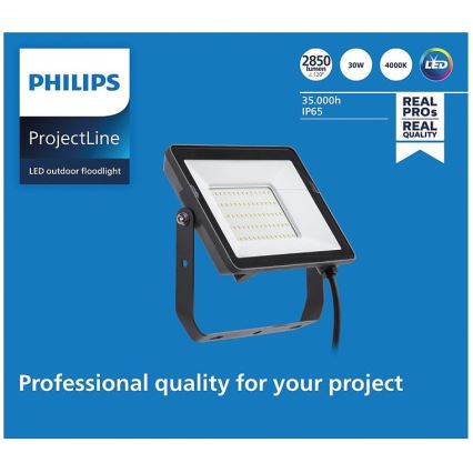 Philips - LED Naświetlacz zewnętrzny PROJECTLINE LED/30W/230V IP65 4000K