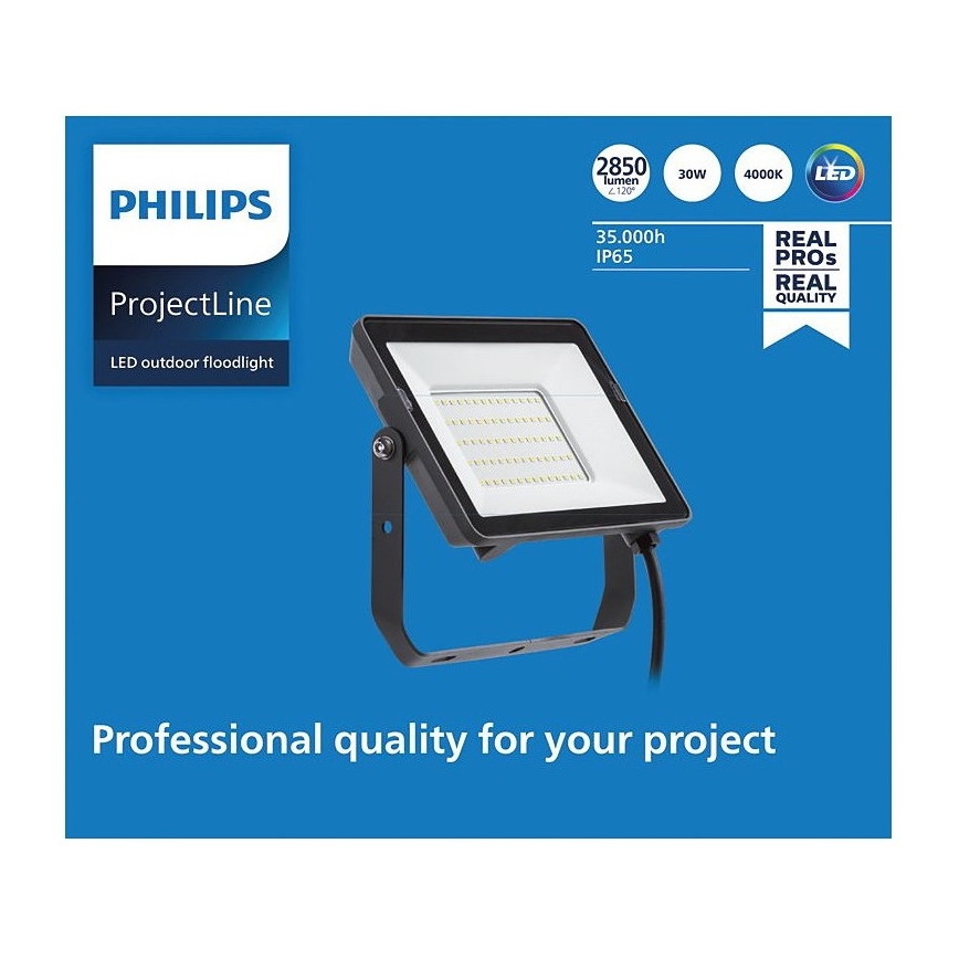 Philips - LED Naświetlacz zewnętrzny PROJECTLINE LED/30W/230V IP65 4000K