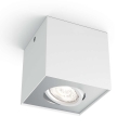 Philips - LED Oświetlenie punktowe ściemnialne 1xLED/4,5W/230V