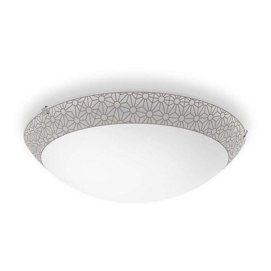 Philips - LED plafon 1xLED/22W/230V