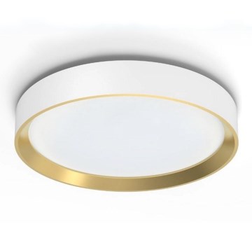 Philips - LED Plafon ściemnialny HANNO SCENE SWITCH LED/24W/230V 4000K biały