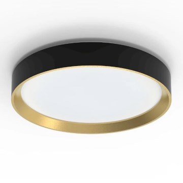 Philips - LED Plafon ściemnialny HANNO SCENE SWITCH LED/24W/230V 4000K czarny