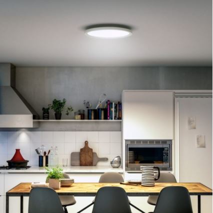 Philips - LED Plafon ściemnialny Hue LED/19W/230V 2200-6500K + pilot zdalnego sterowania