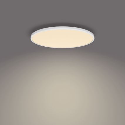 Philips - LED Plafon ściemnialny SCENE SWITCH LED/36W/230V śr. 50 cm 2700K biały