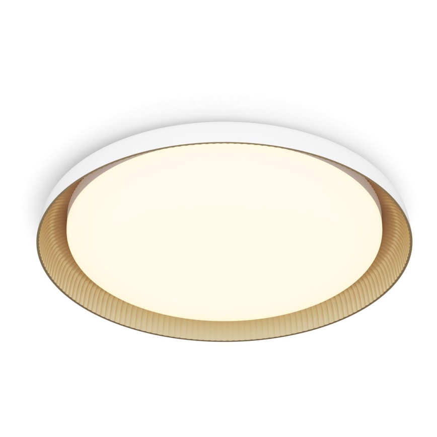 Philips - LED Plafon ściemnialny PEBBLO SCENE SWITCH LED/10W/230V 2700K biały