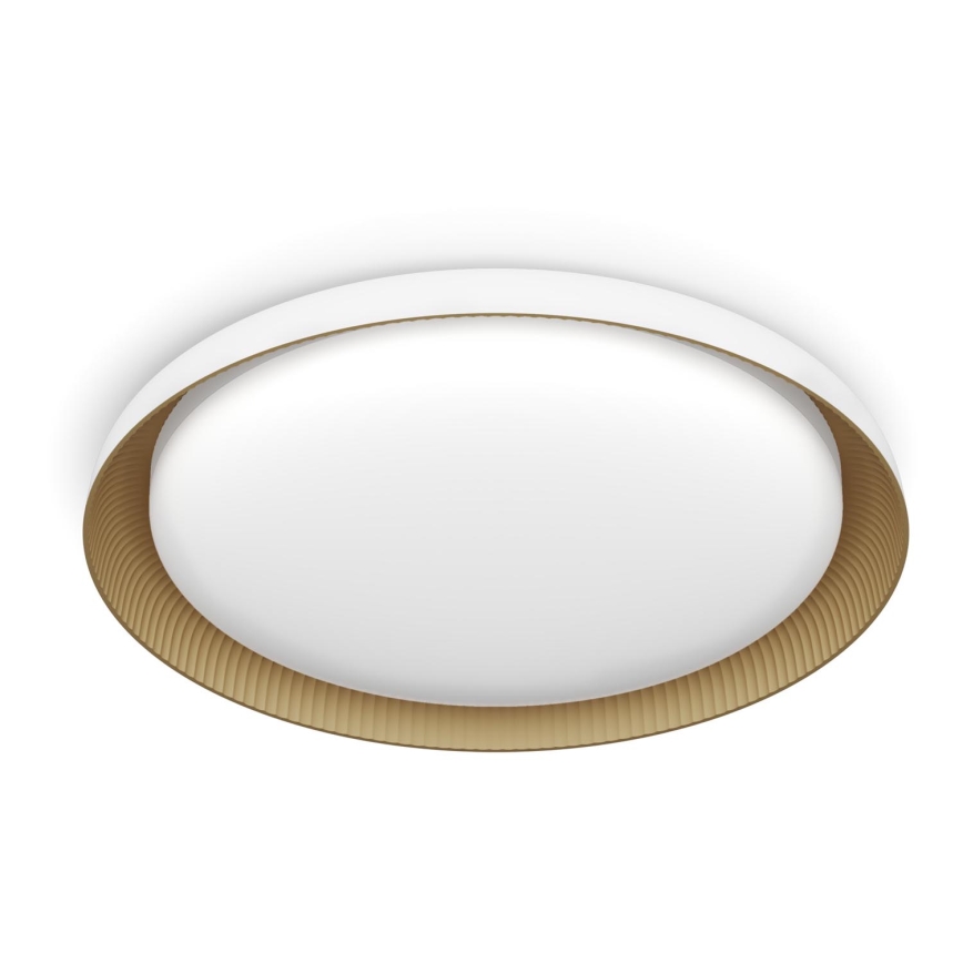 Philips - LED Plafon ściemnialny PEBBLO SCENE SWITCH LED/10W/230V 4000K biały