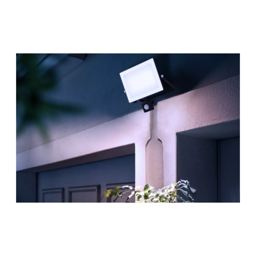 Philips - LED Reflektor z czujnikiem LOIS LED/50W/230V IP65 5000K
