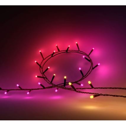 Philips - LED RGBW ściemnialna girlanda zewnętrzna HUE WHITE AND COLOR AMBIANCE 500 diod LED 44,4 m 2000-6500K IP54