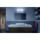 Philips - LED Ściemnialne łazienkowe oświetlenie lustra ADORE LED/33,5W/230V IP44