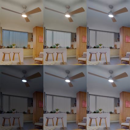Philips - LED ściemnialny wentylator sufitowy CIVX LED/24W/230V + zdalne sterowanie
