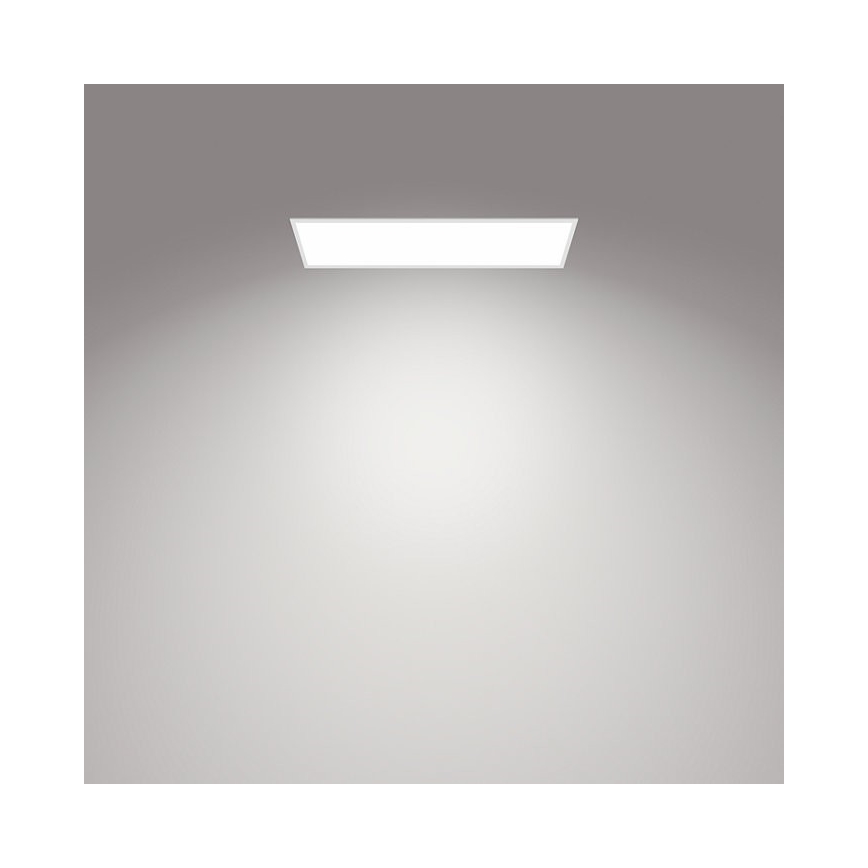 Philips - LED Ściemniany plafon SCENE SWITCH LED/36W/230V 4000K