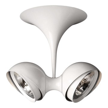 Philips Lirio 57072/31/LI - Reflektor PALLO 2xG53/50W/230V