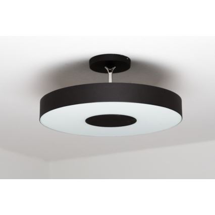 Philips Massive 30206/30/16 - Plafon  INSTYLE 1x2GX13/60W