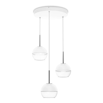 Philips Massive 37167/31/16 - LED lampa wisząca ARAGO 3xLED/4,5W/230V