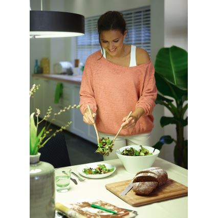 Philips Massive 40339/11/16 - Lampa wisząca ECOMOODS 1x2GX13/55W chrom