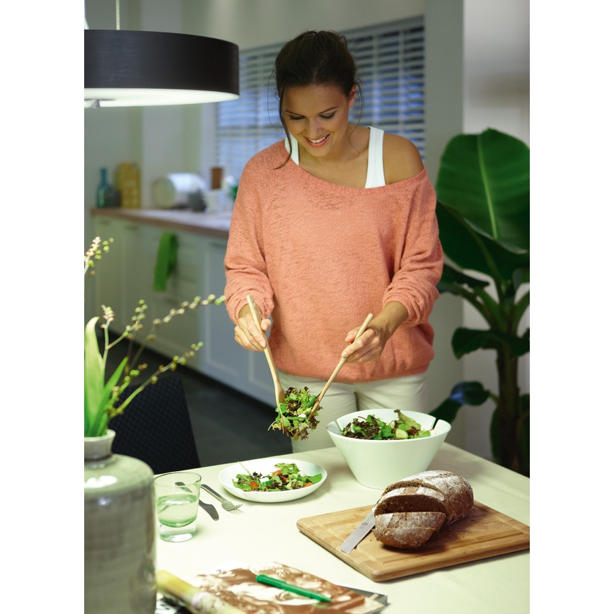 Philips Massive 40339/11/16 - Lampa wisząca ECOMOODS 1x2GX13/55W chrom