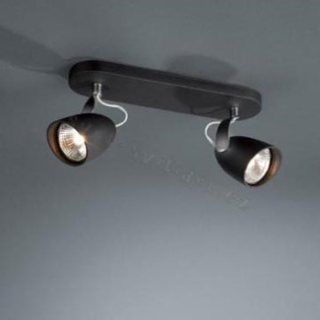 Philips Massive 56322/30/10 -Reflektor ALMA 2xGU10/75W
