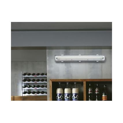 Philips Massive 85043/20/31 - Zářivkové svítidlo AQUALINE 1xG13/18W
