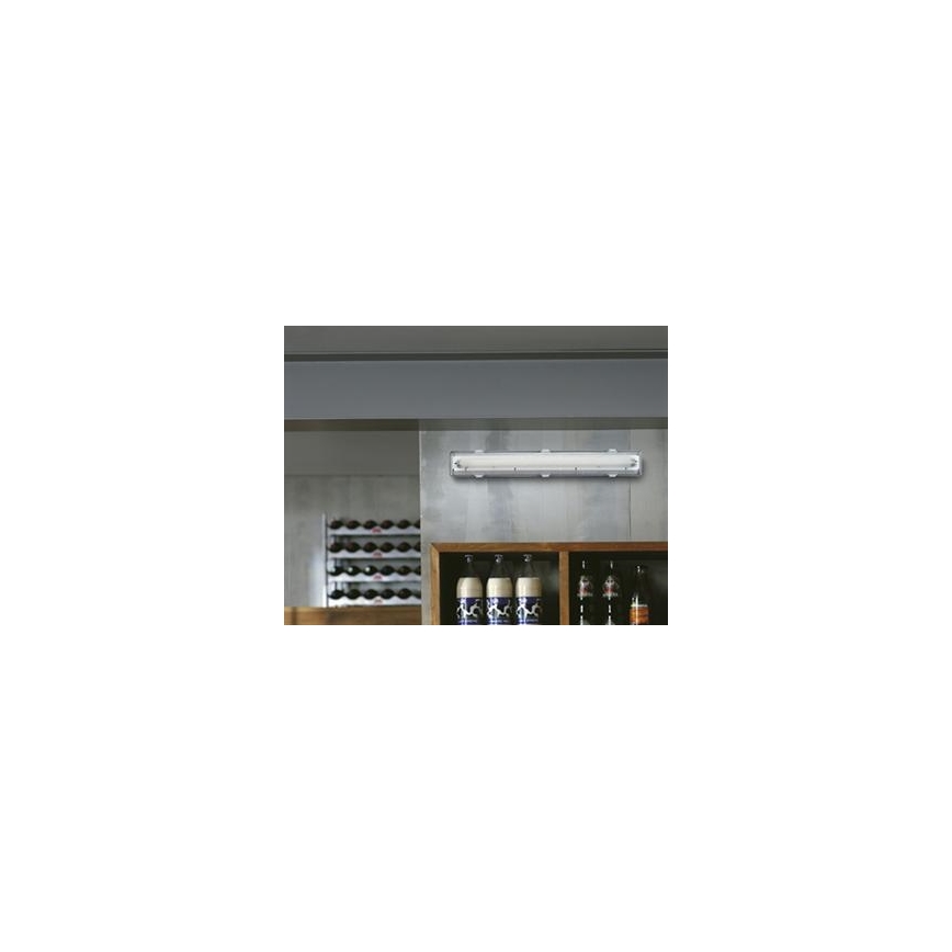 Philips Massive 85043/20/31 - Zářivkové svítidlo AQUALINE 1xG13/18W
