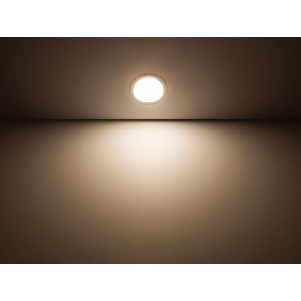 Philips - Oprawa sufitowa LED/5,5W/230V 4000K