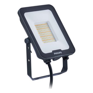 Philips - Naświetlacz LED LEDINAIRE ALL-IN LED/30W/230V 3000/4000/6500K IP65