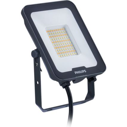 Philips - Naświetlacz LED LEDINAIRE ALL-IN LED/30W/230V 3000/4000/6500K IP65